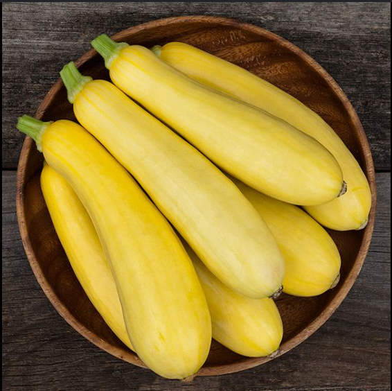 How to Prune Squash Plants for a Better Harvest in Northwest Georgia