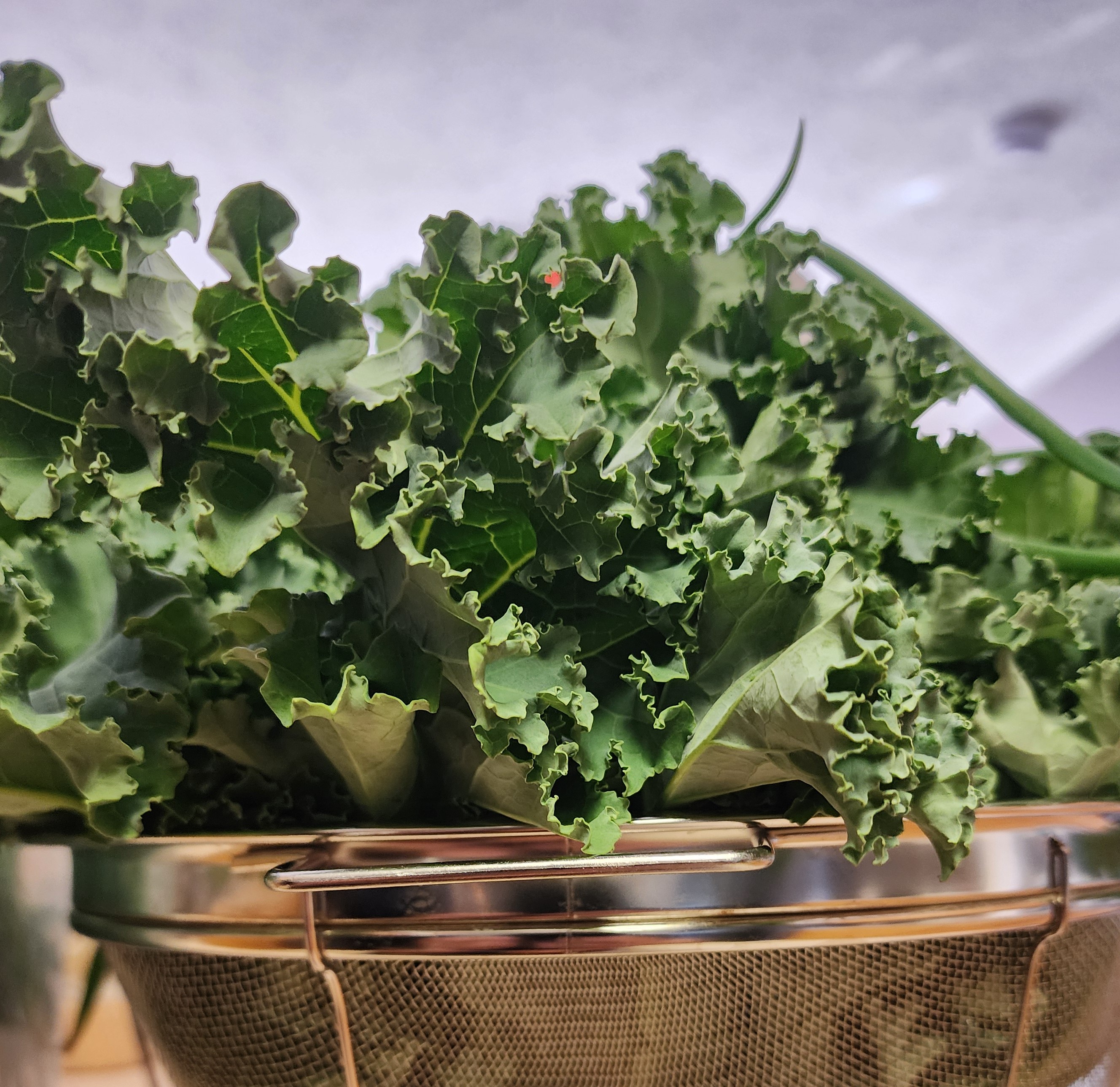Kale is in